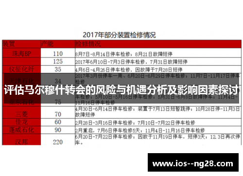 评估马尔穆什转会的风险与机遇分析及影响因素探讨