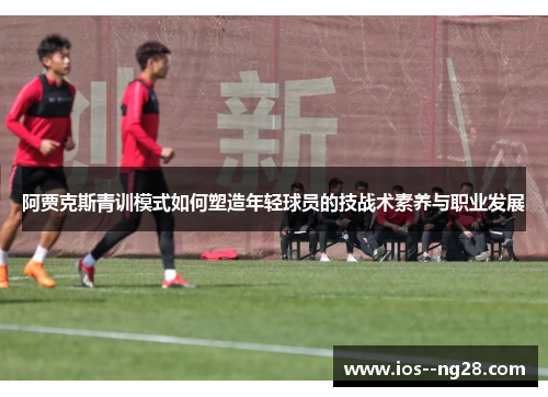阿贾克斯青训模式如何塑造年轻球员的技战术素养与职业发展