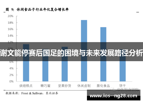 谢文能停赛后国足的困境与未来发展路径分析