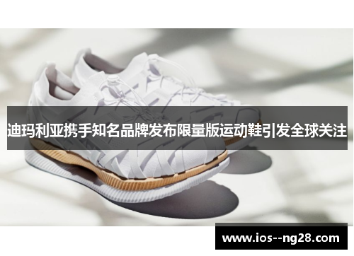 迪玛利亚携手知名品牌发布限量版运动鞋引发全球关注 迪玛利亚携手知名品牌发布限量版运动鞋引发全球关注